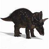 Diceratops DAZ 02A_0001